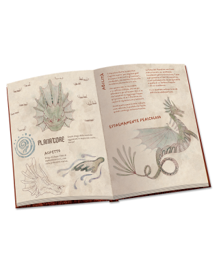 libro_draghi_aperto2